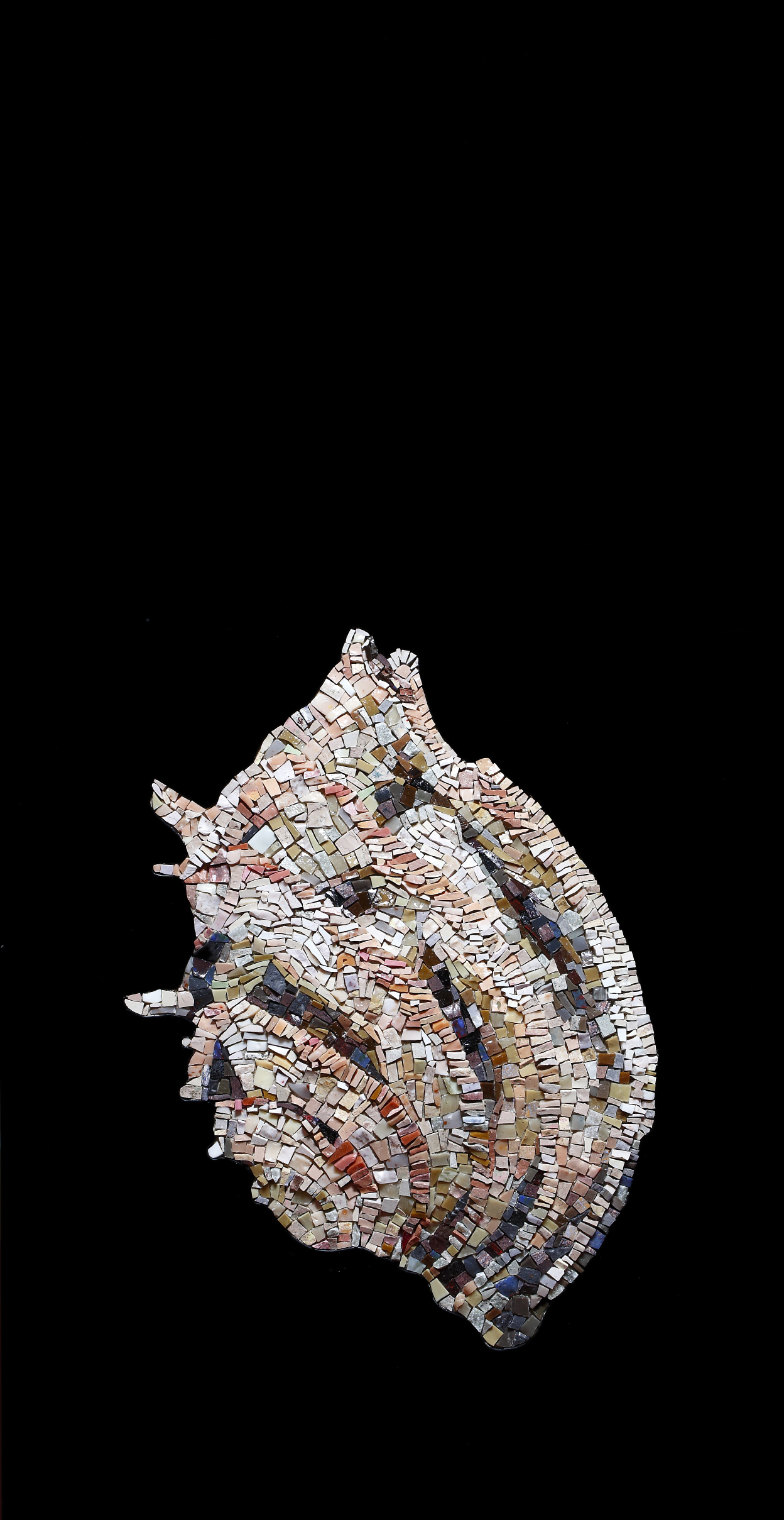 mosaico conchiglia michela marcon grado agosto 2025 pelle di pietra tracce